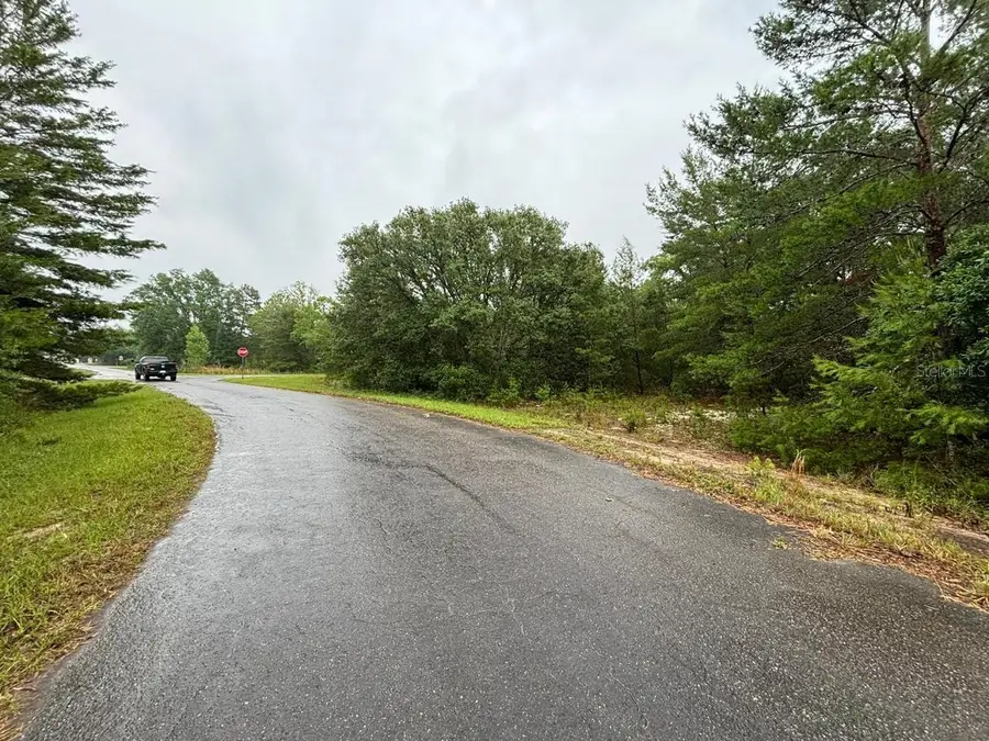 16 Fisher Court Way, Ocklawaha, FL 32179 - #3