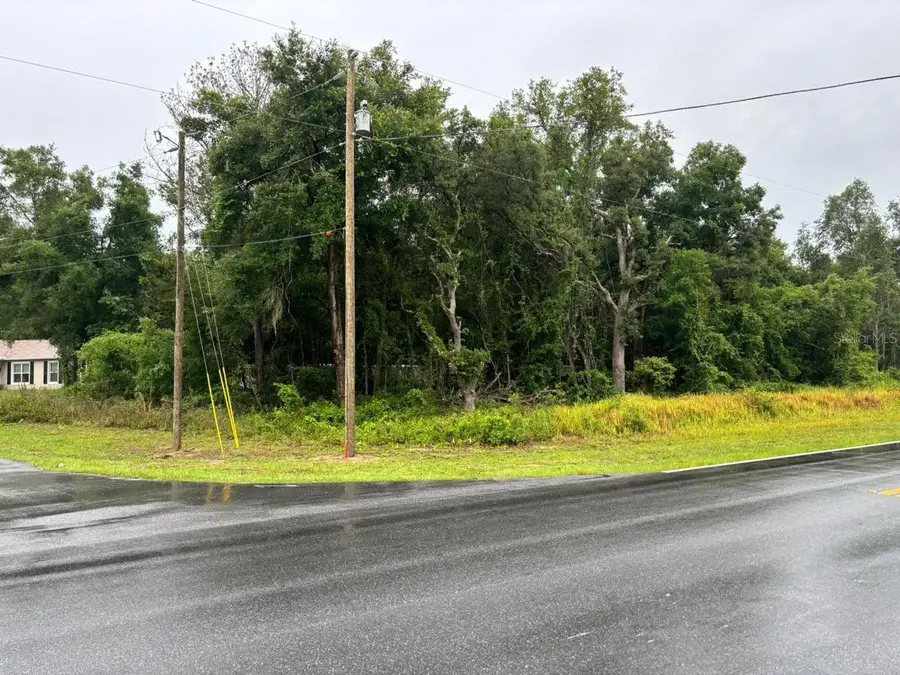 1 Guava Pass Trail, Ocklawaha, FL 32179 - #3