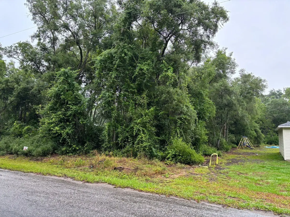 11 Fisher Way Course, Ocklawaha, FL 32179 - #1