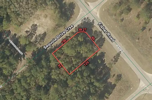 200 Fisher Road, OCKLAWAHA, FL 32179