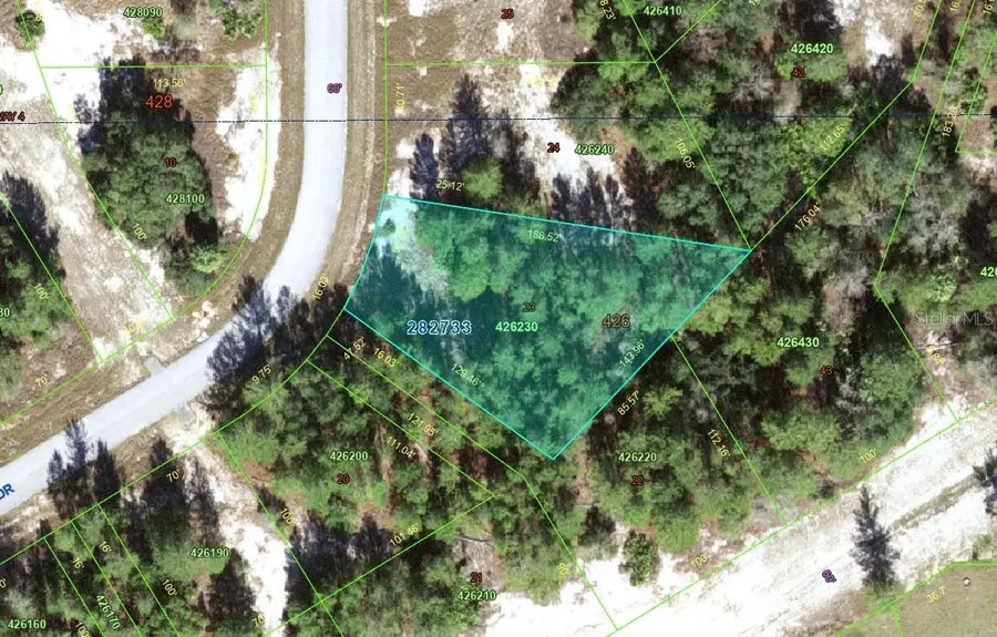 1318 Homosassa Drive, Poinciana, FL 34759 - #2
