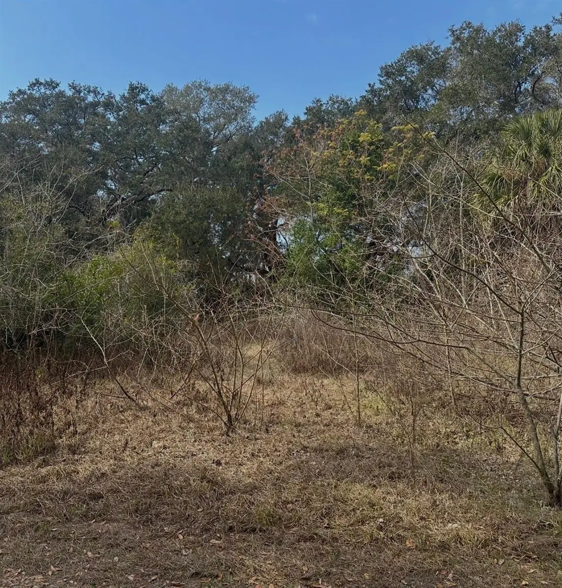 16644 SE 134th Terrace, Weirsdale, FL 32195 - #1