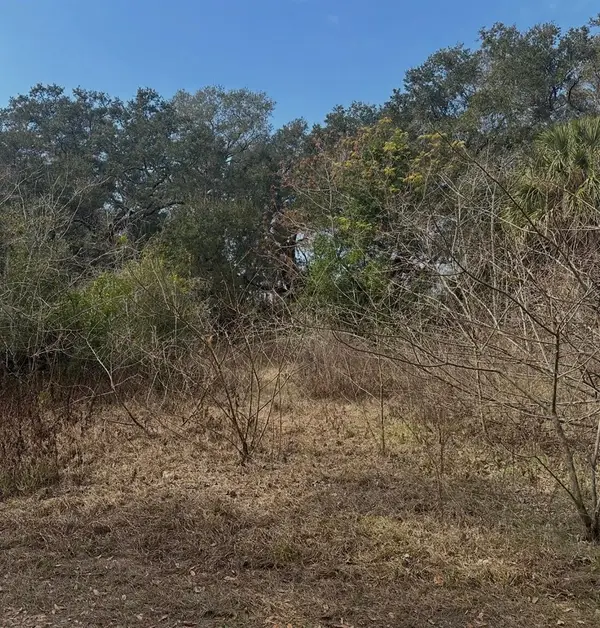 16644 SE 134th Terrace, WEIRSDALE, FL 32195