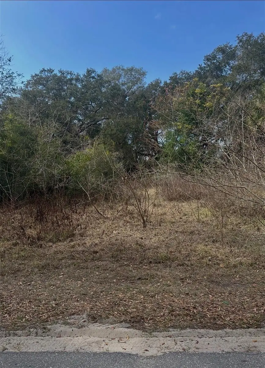 16644 SE 134th Terrace, Weirsdale, FL 32195 - #2