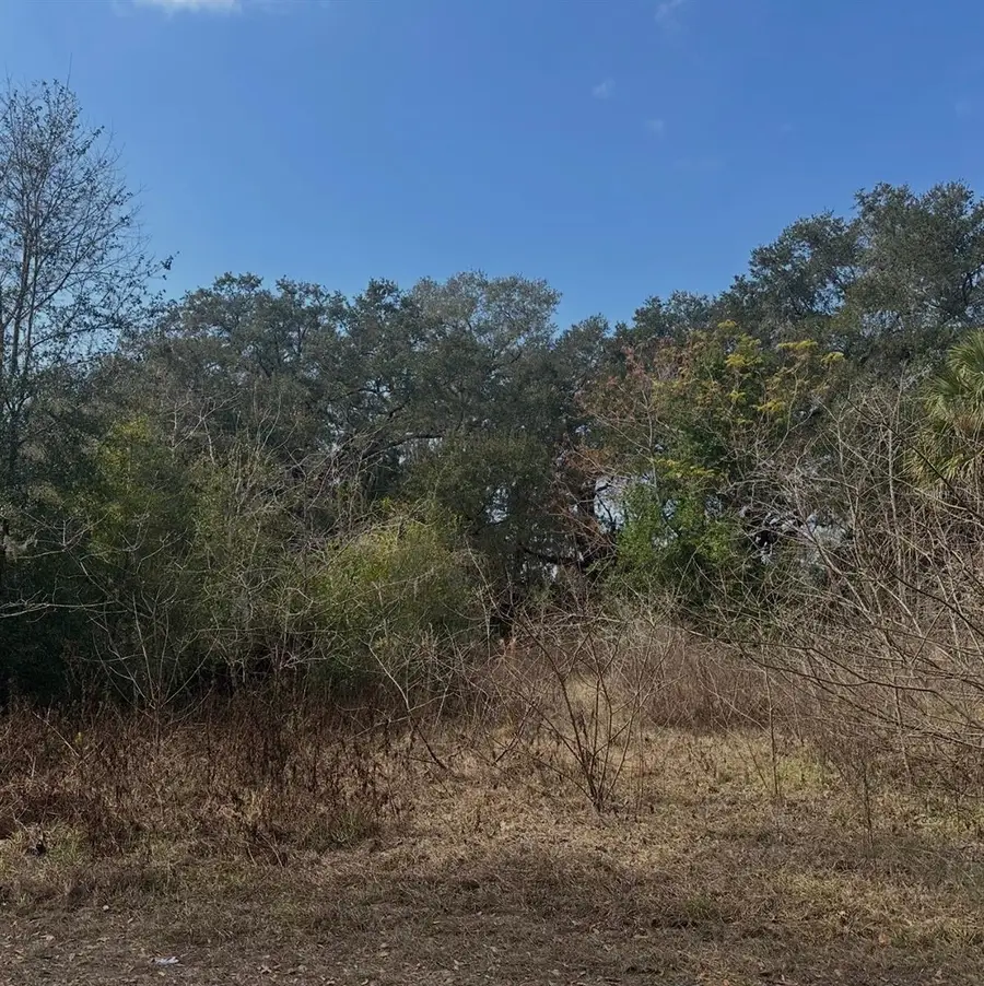 16644 SE 134th Terrace, Weirsdale, FL 32195 - #3