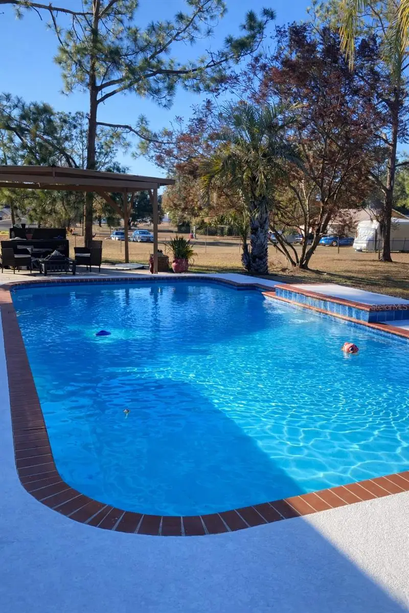 31639 Stirrup Lane, Wesley Chapel, FL 33543 - #2