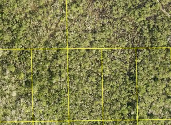 Pid 710801150090 No Street, DELAND, FL 32724