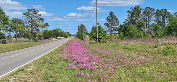 Se 60th Street, MORRISTON, FL 32668