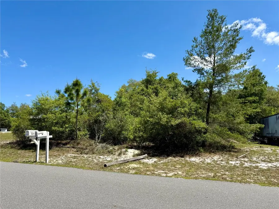 Benton Drive, Eustis, FL 32736 - #2