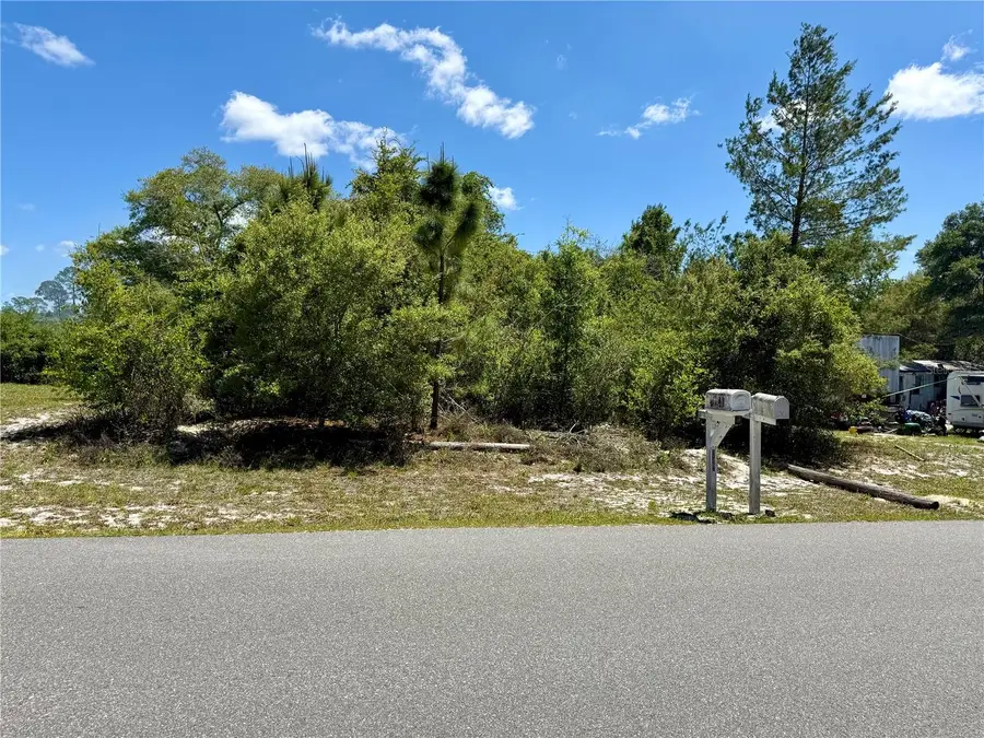 Benton Drive, Eustis, FL 32736 - #3
