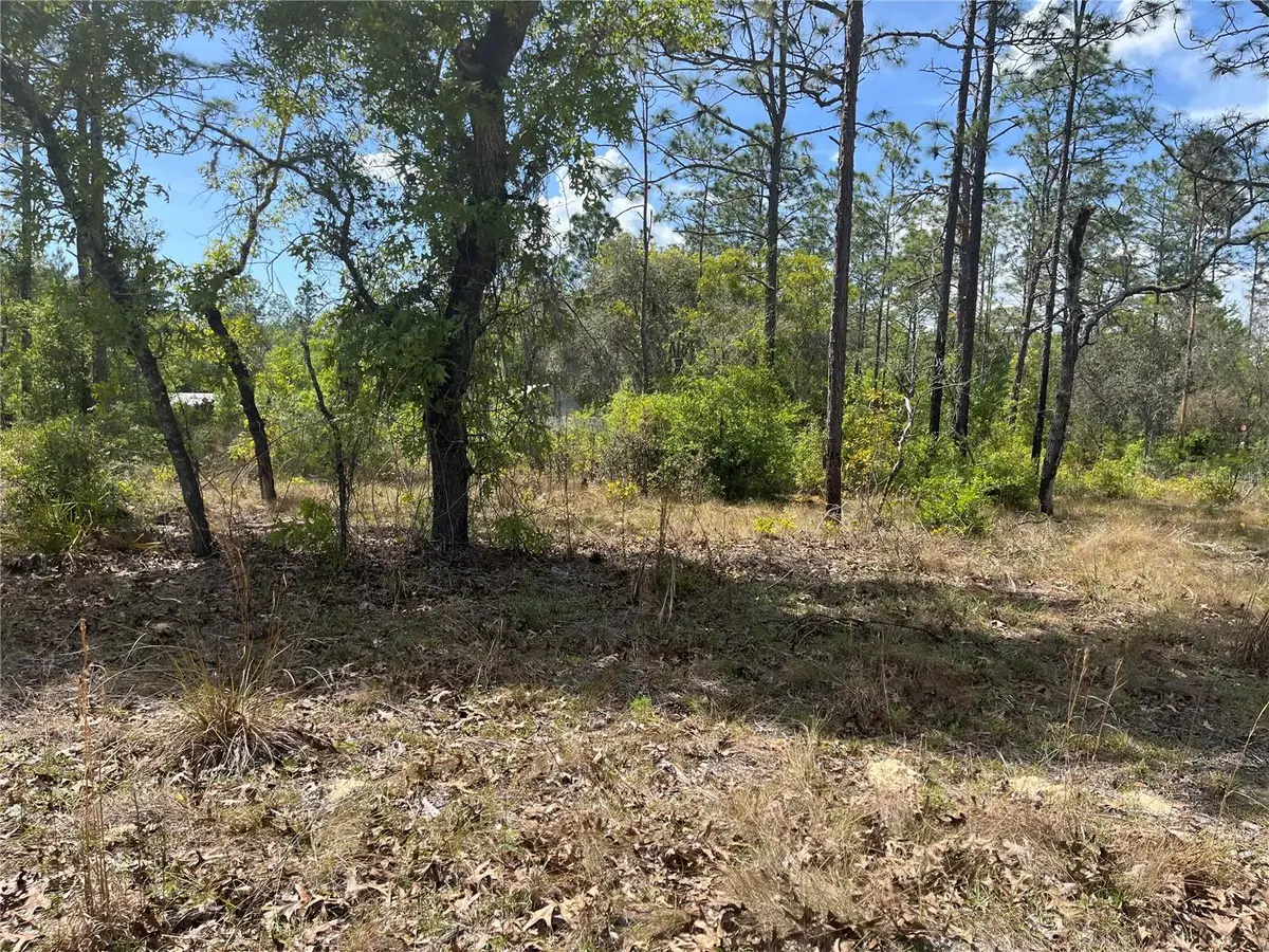 NE 96 Avenue #LOT 5, Bronson, FL 32621 - #1