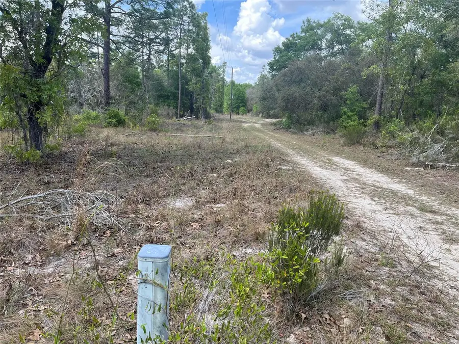 NE 96 Avenue #LOT 5, Bronson, FL 32621 - #3