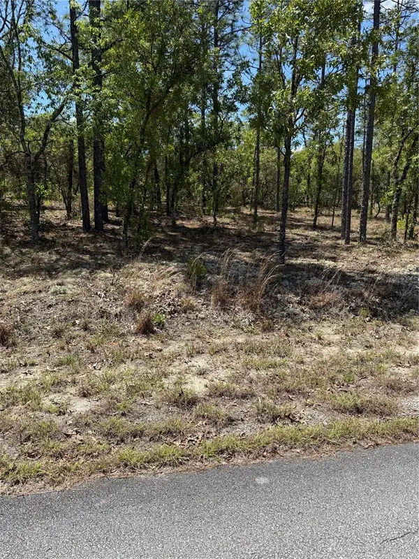 LOT# 8 SW Mineola Lane, DUNNELLON, FL 34431