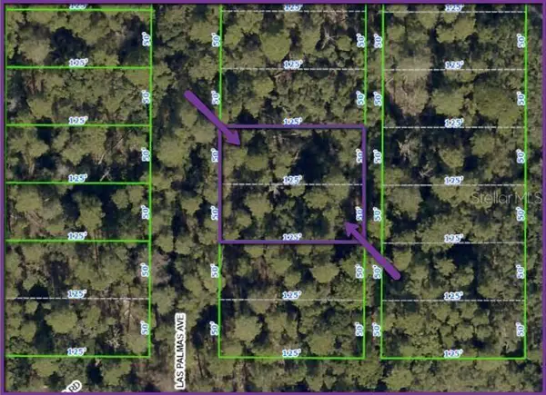 0 Las Palmas Avenue #lot 11 & 12, SPRING HILL, FL 34606