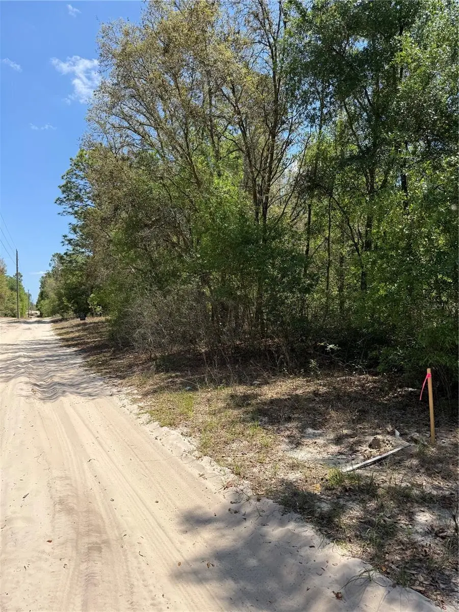 NE 118th Lane, Bronson, FL 32621 - #2