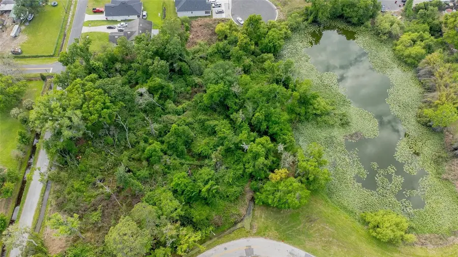 N Seminole Lake Blvd, Plant City, FL 33563 - #2