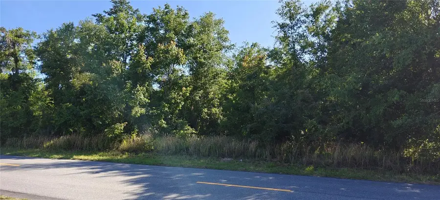 Lot 114 N Goodman Road, Kissimmee, FL 34747 - #3