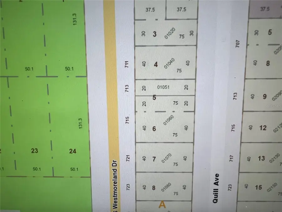 713 S Westmoreland Drive, Orlando, FL 32805 - #3