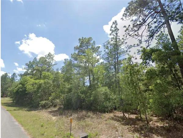 9164 N Gilbert Terrace, DUNNELLON, FL 34433