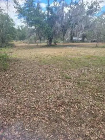 0 Central Avenue, Mulberry, FL 33860 - #1