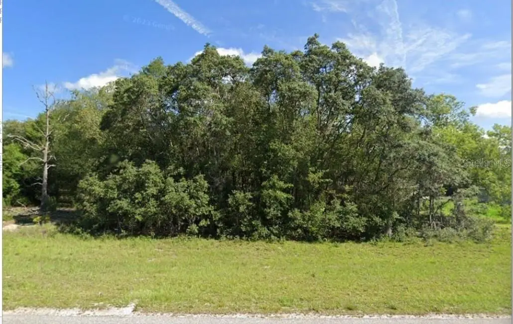 00 Malauka Rd #40, Ocklawaha, FL 32179 - #1