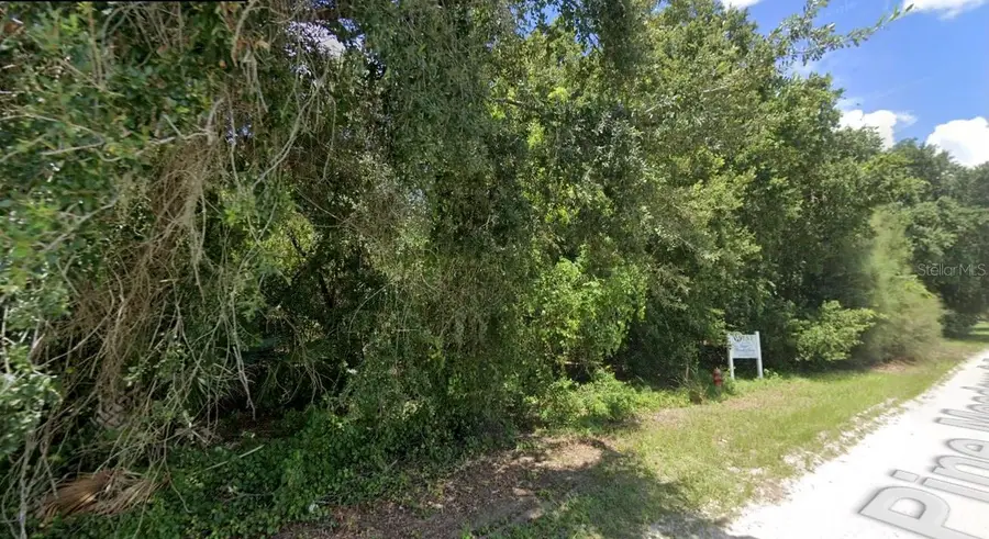 Pine Meadows Rd, Eustis, FL 32726 - #2