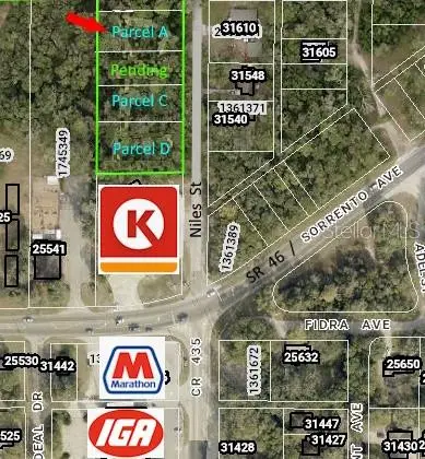 31595 Niles Street, Mount Plymouth, FL 32776 - #1