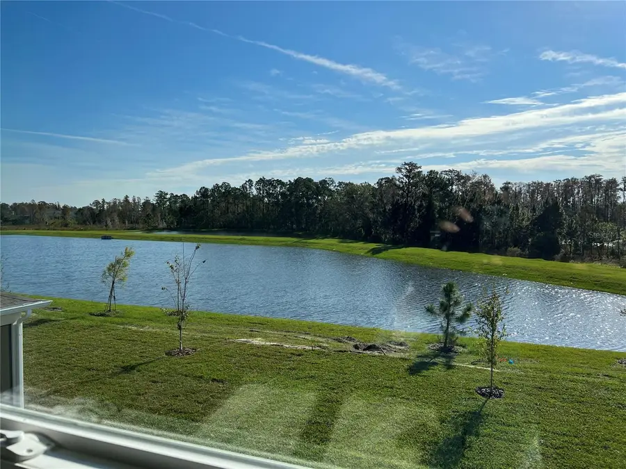 17575 Saw Palmetto Avenue, Clermont, FL 34714 - #3