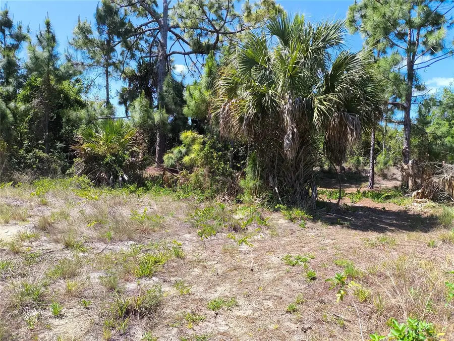 12289 Clarendon Avenue, Port Charlotte, FL 33981 - #2