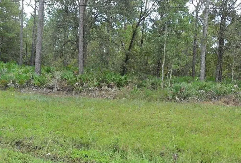 E Colonial Drive, Christmas, FL 32709 - #1