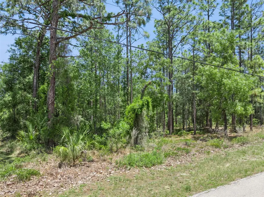 1797 W Union Street, Hernando, FL 34442 - #3