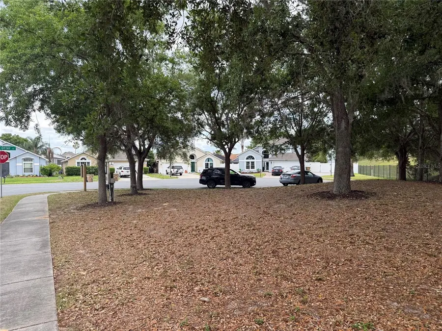 8128 Yellow Crane Drive, Kissimmee, FL 34747 - #3