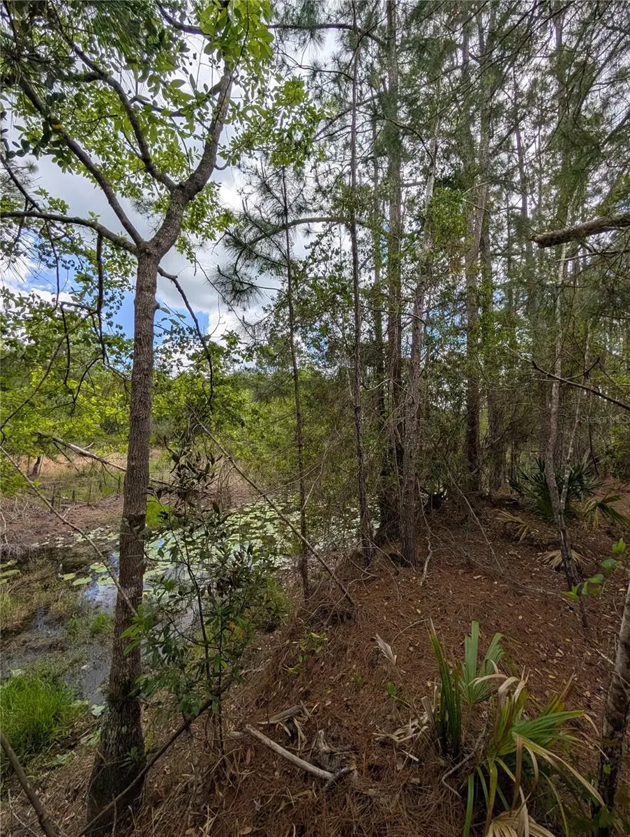 38521 Ilex Trail, Eustis, FL 32736 - #1