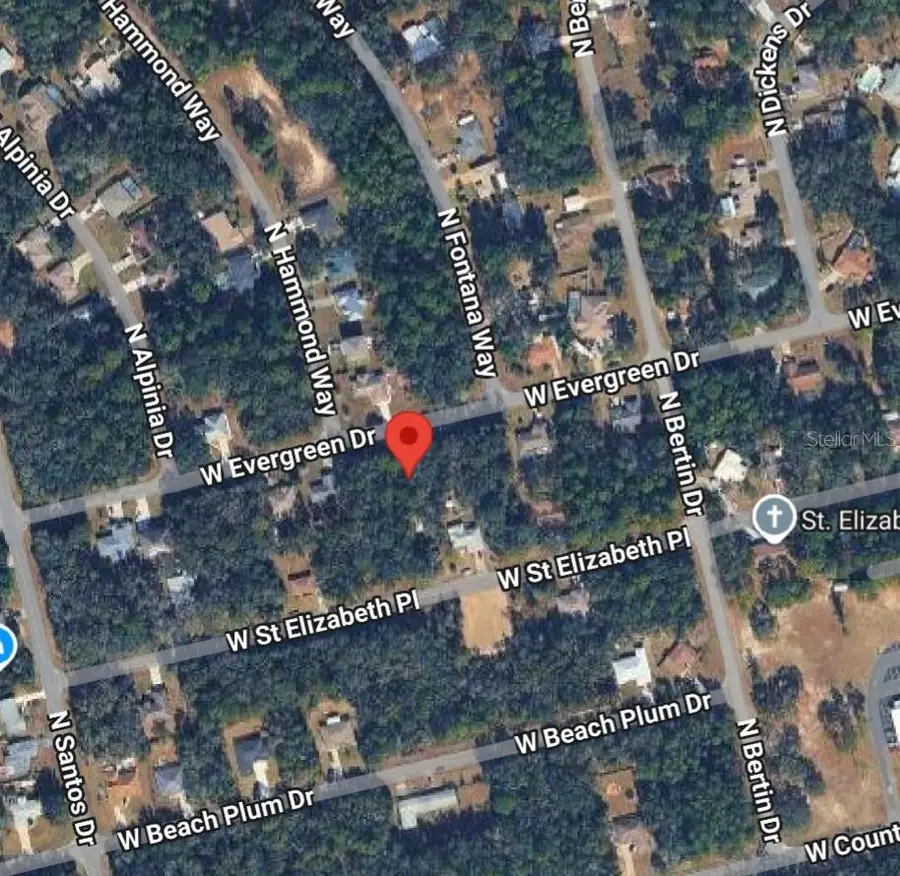 1578 W Evergreen Drive, Citrus Springs, FL 34434 - #3