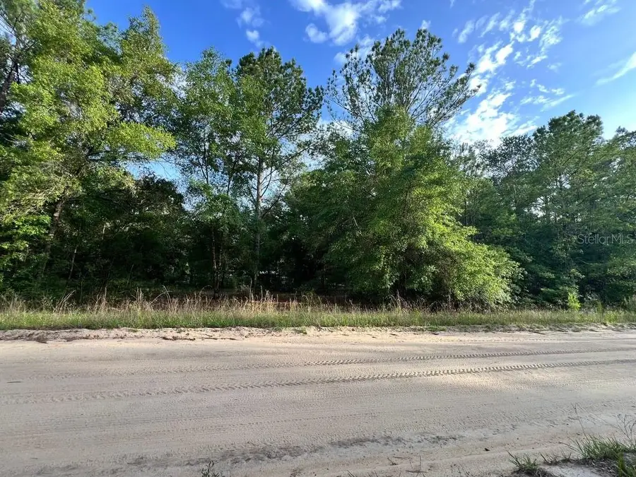 Decker Street Lot 12 13, Interlachen, FL 32148 - #2