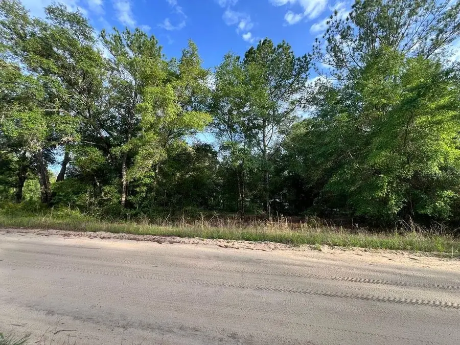 Decker Street Lot 12 13, Interlachen, FL 32148 - #3