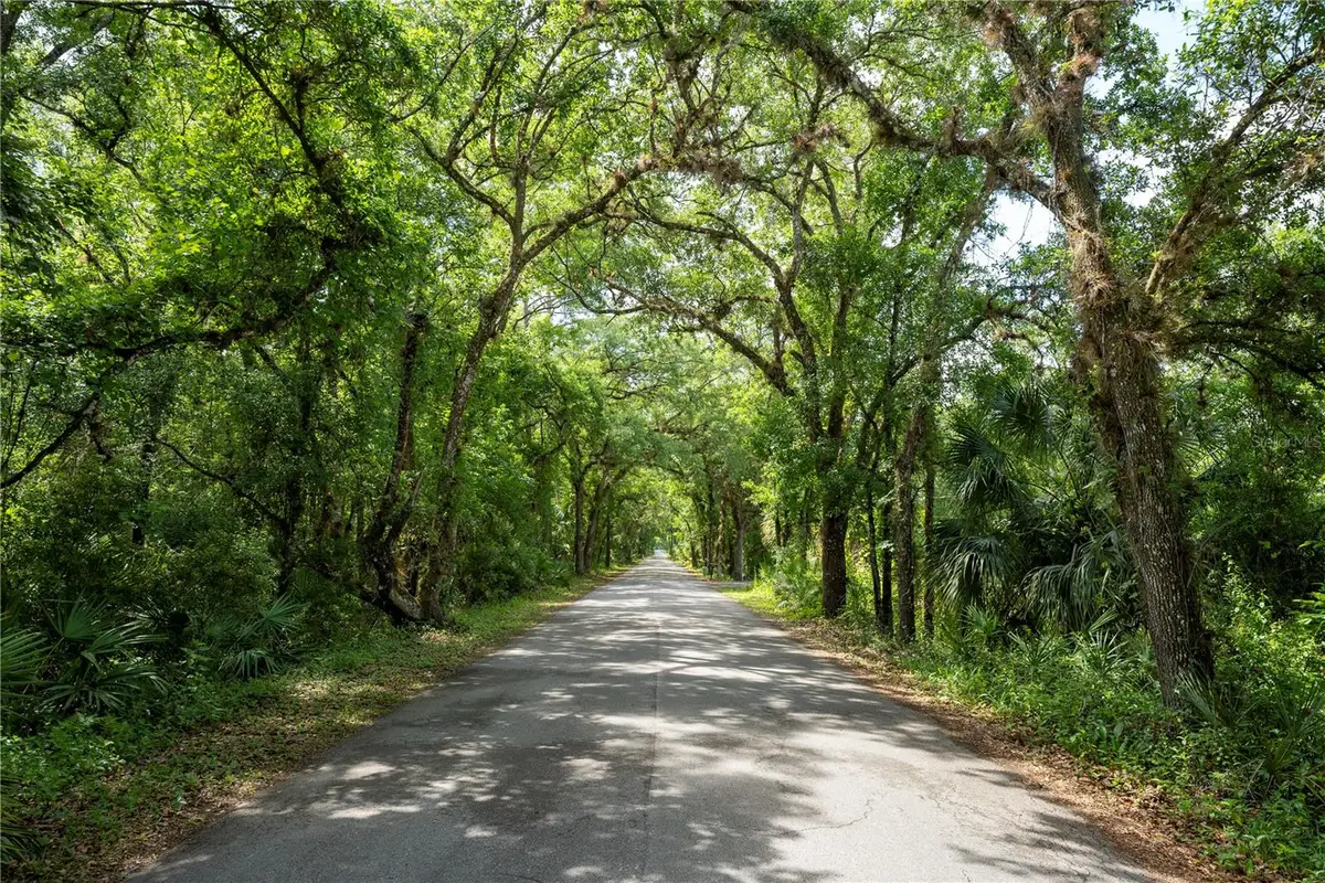 651 S County Road 13, Orlando, FL 32833 - #1