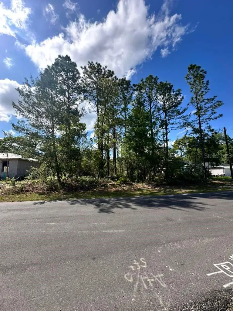 3125 W Fairbank Drive, Citrus Springs, FL 34433 - #1