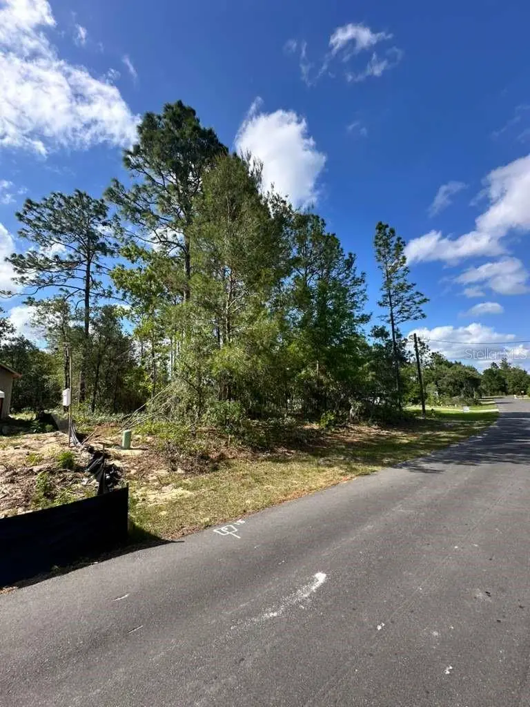 3125 W Fairbank Drive, Citrus Springs, FL 34433 - #2