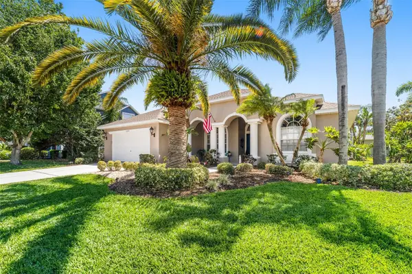 1819 Latelia Court, TRINITY, FL 34655
