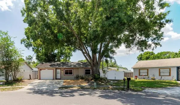 2009 Peppertree Court, OLDSMAR, FL 34677