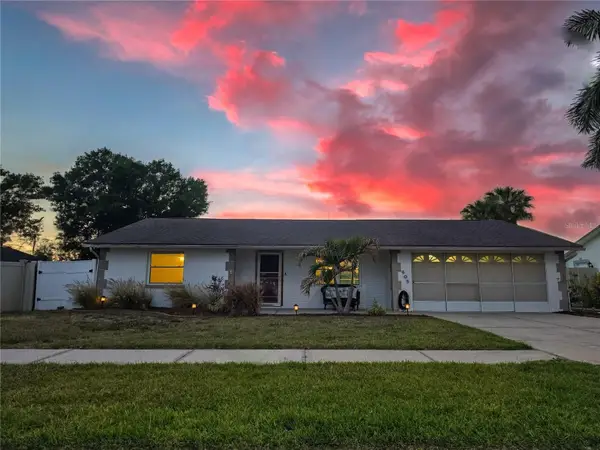 505 Red Mangrove Lane, APOLLO BEACH, FL 33572