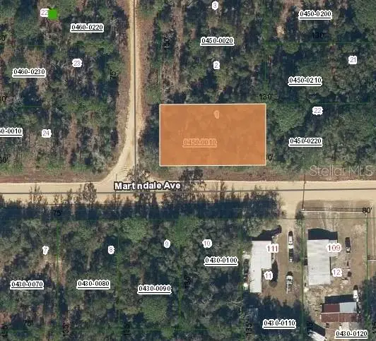 Lot 1 Martinedale Avenue, Interlachen, FL 32148 - #1