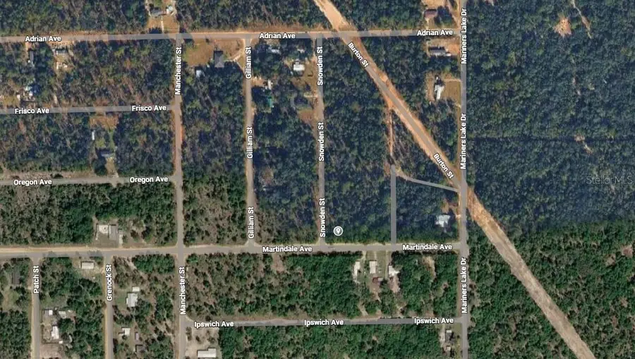 Lot 1 Martinedale Avenue, Interlachen, FL 32148 - #3