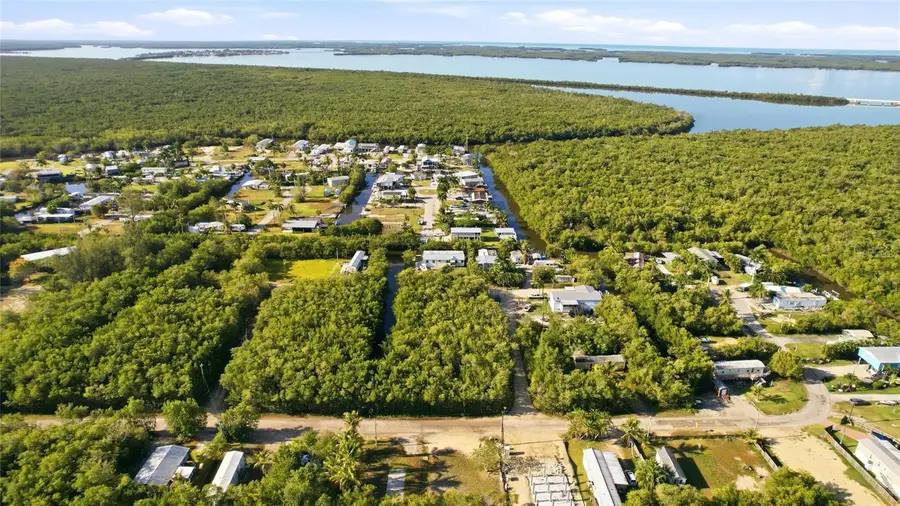 53 Beaver Lane, Ochopee, FL 34141 - #3