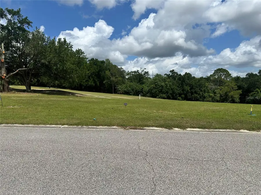 3951 Greenbluff Road #816, Zellwood, FL 32798 - #2