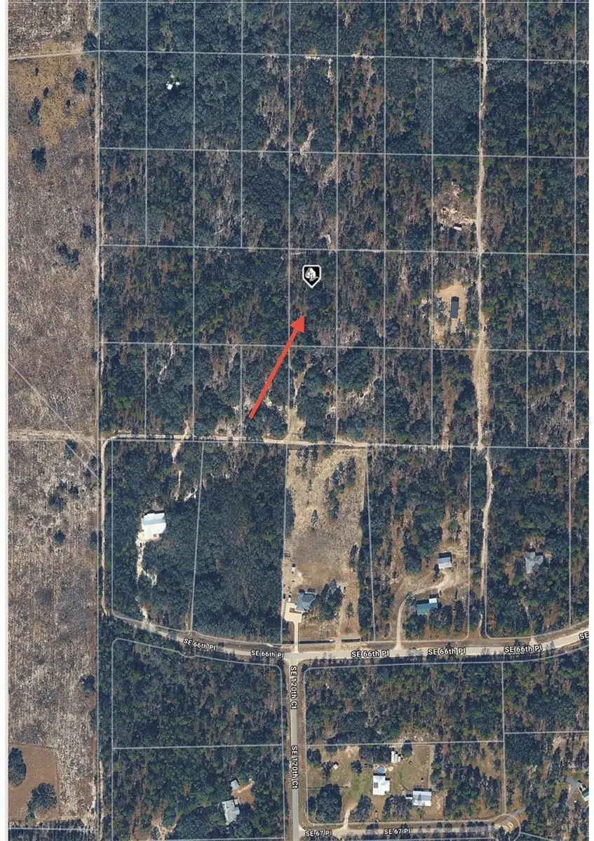 SE 64th Place, Morriston, FL 32668 - #2