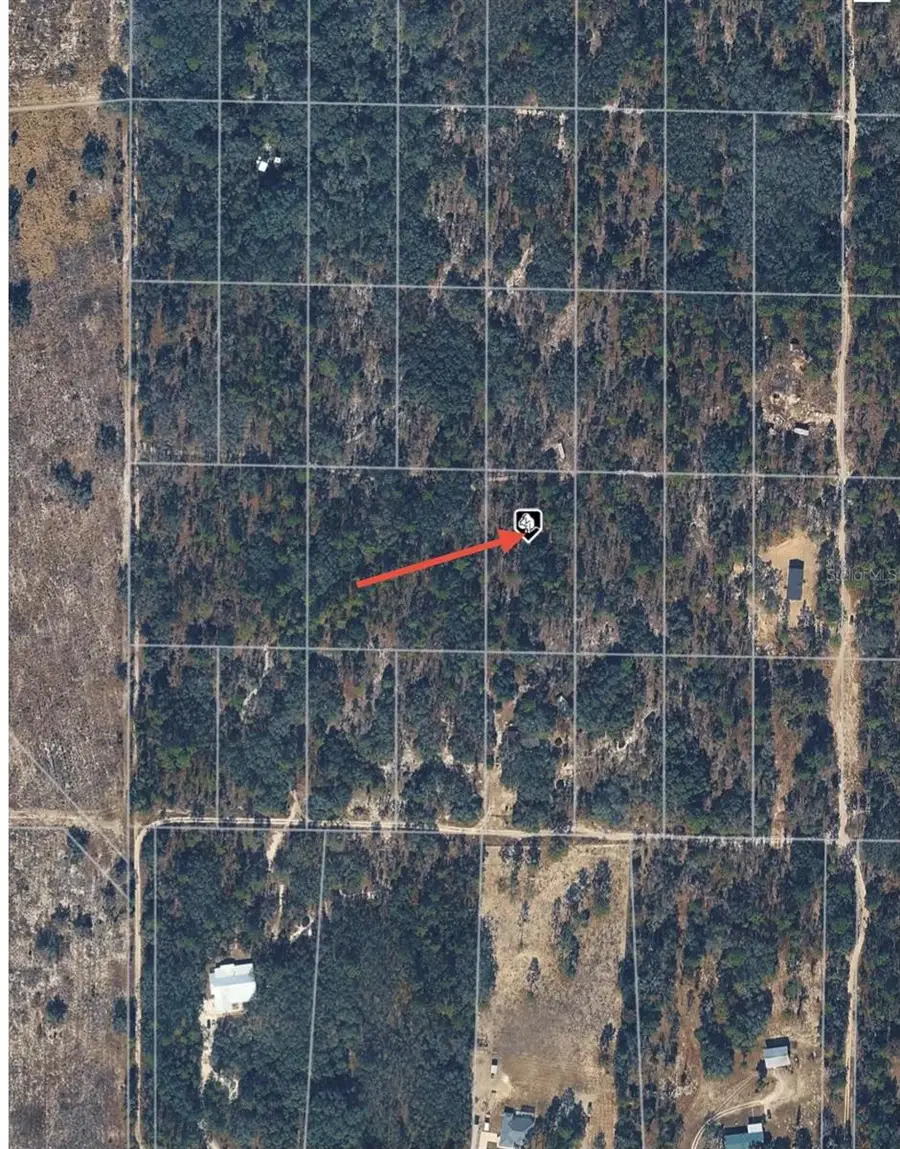 SE 64th Place, Morriston, FL 32668 - #3