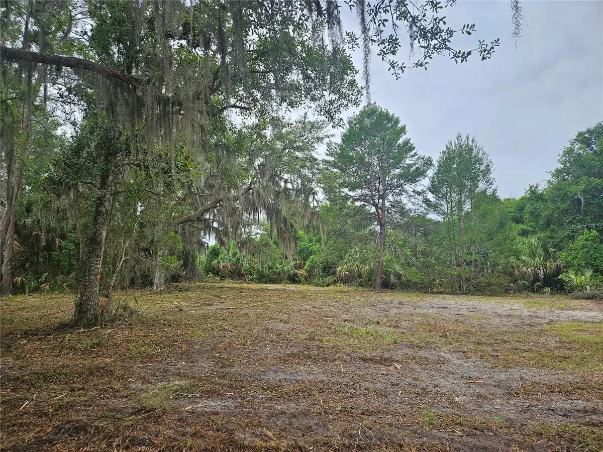 00 Culver Way, Geneva, FL 32732 - #1