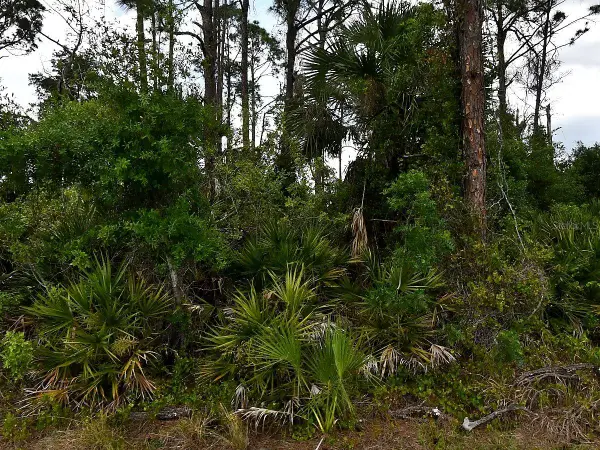 Geloso Avenue, NORTH PORT, FL 34288